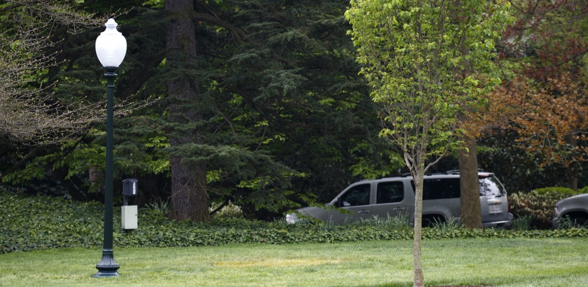 Gerade gepflanzt, schon wieder weg: Wo ist Macrons Eiche?