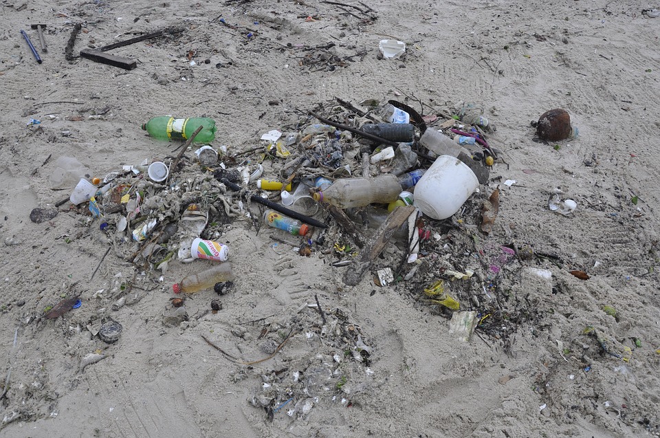 Forscher entwickeln aus Versehen besseres Enzym gegen Plastikmüll