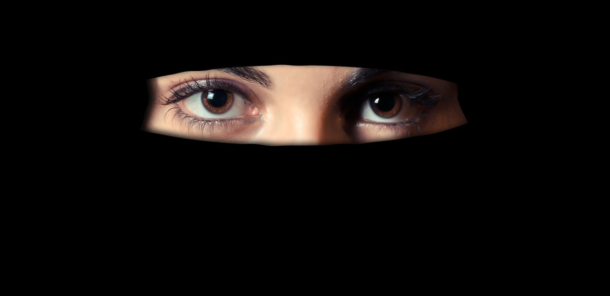 Das Burkaverbot im Fokus