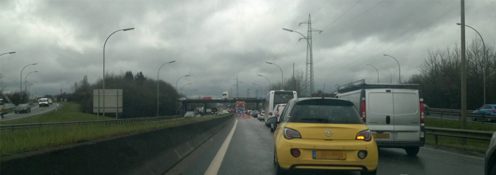 Foto: Nico Wildschutz