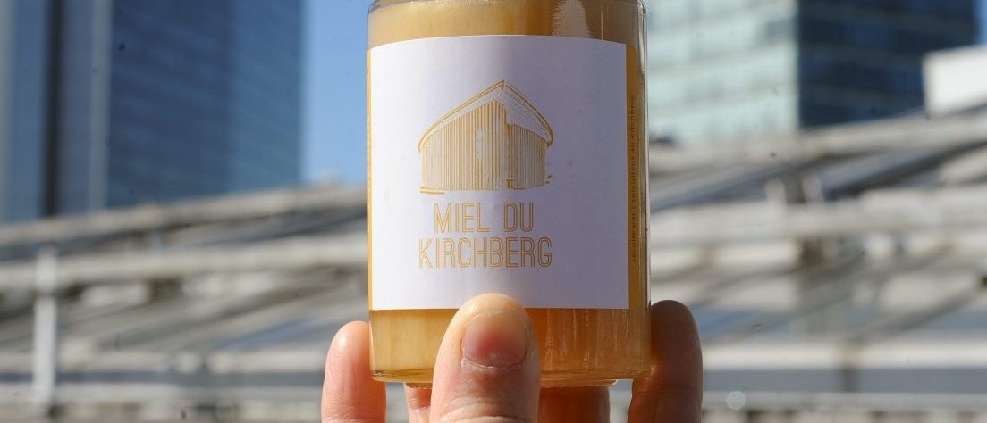 Honig vom Hoteldach der Hauptstadt