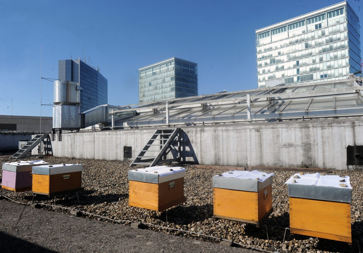 08.05.2018_Editpress_435461