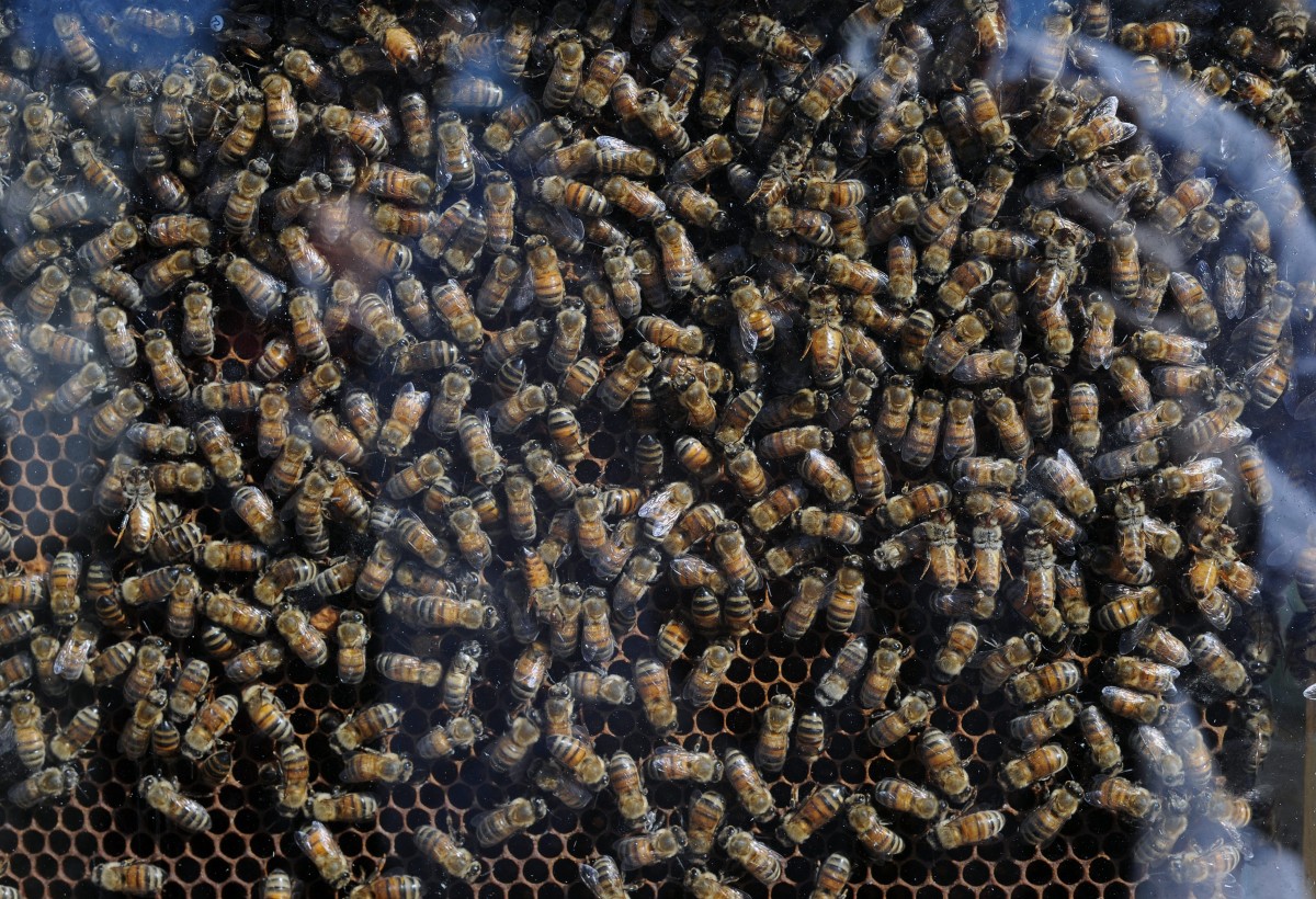 08.05.2018_Editpress_435467