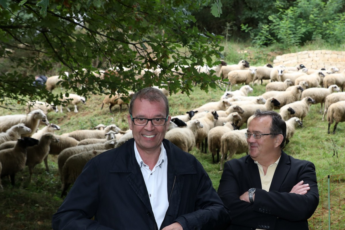 Foto: Didier Sylvestre