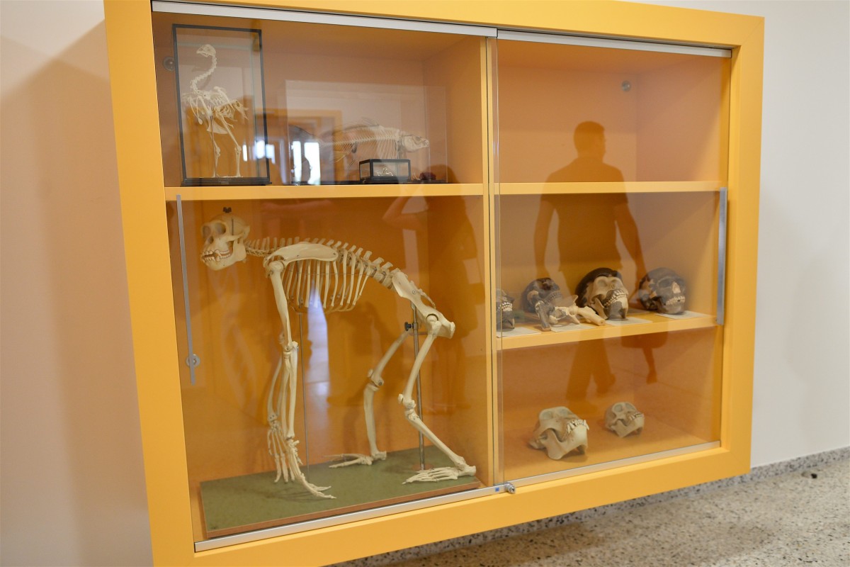 09.05.2018_Editpress_435769