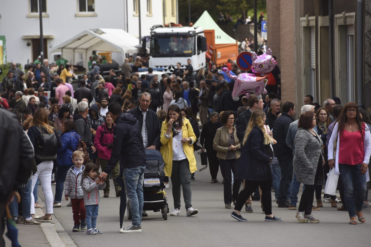 Foto: Alain Rischard