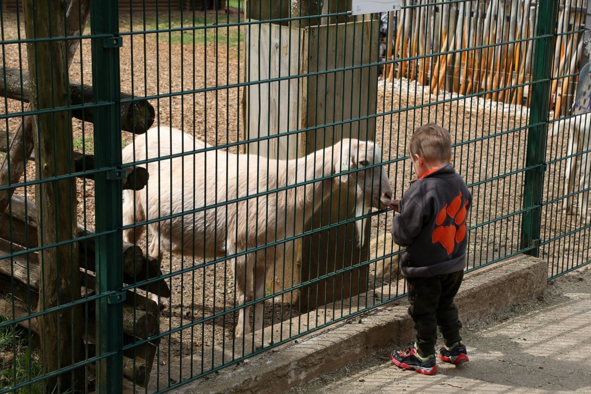 12.05.2018_Editpress_436222