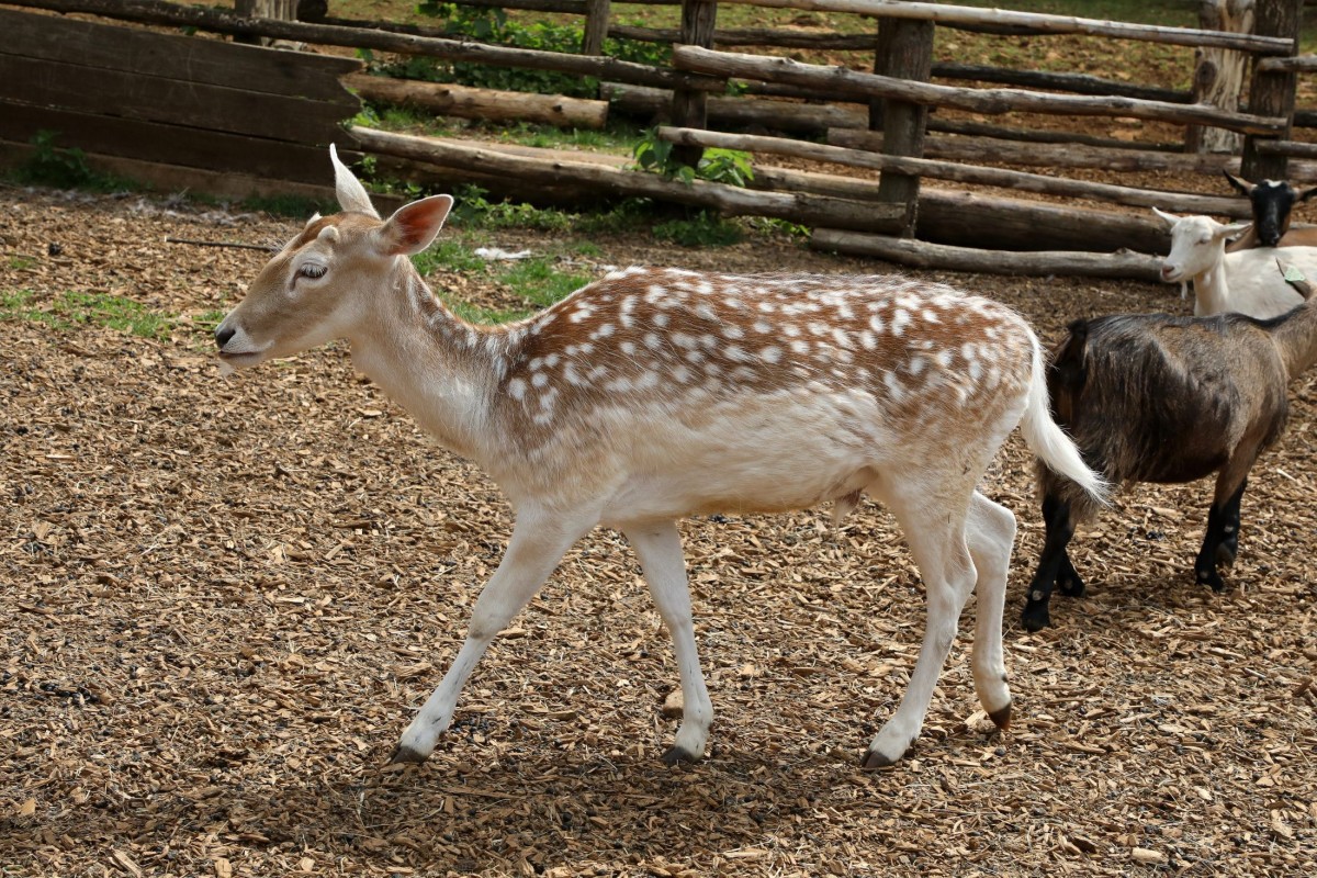12.05.2018_Editpress_436226