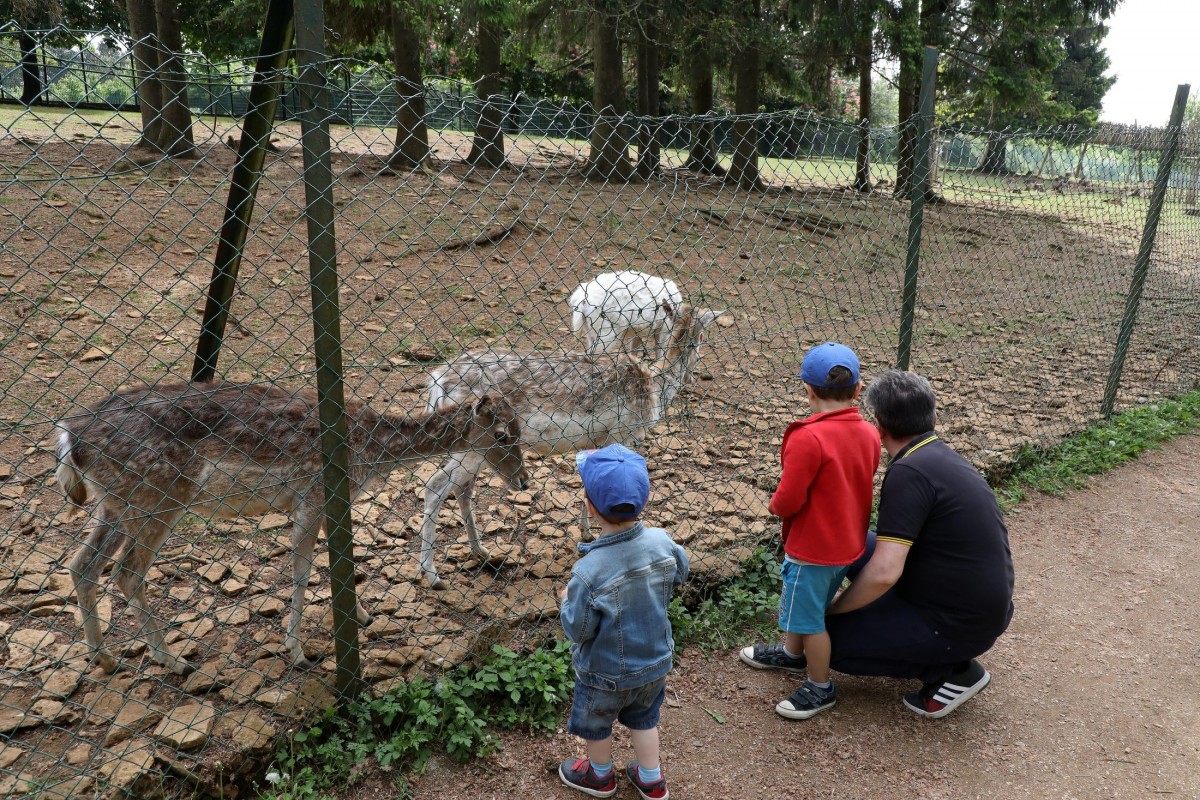 12.05.2018_Editpress_436228