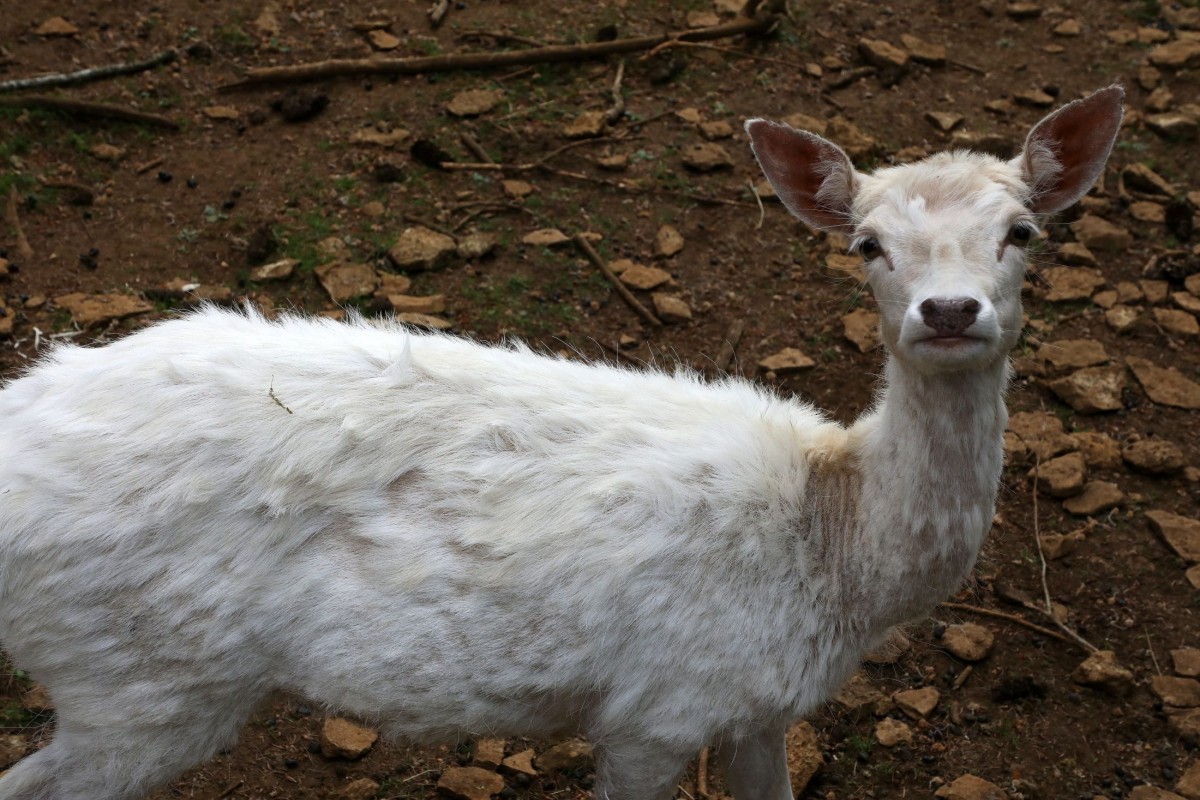 12.05.2018_Editpress_436231