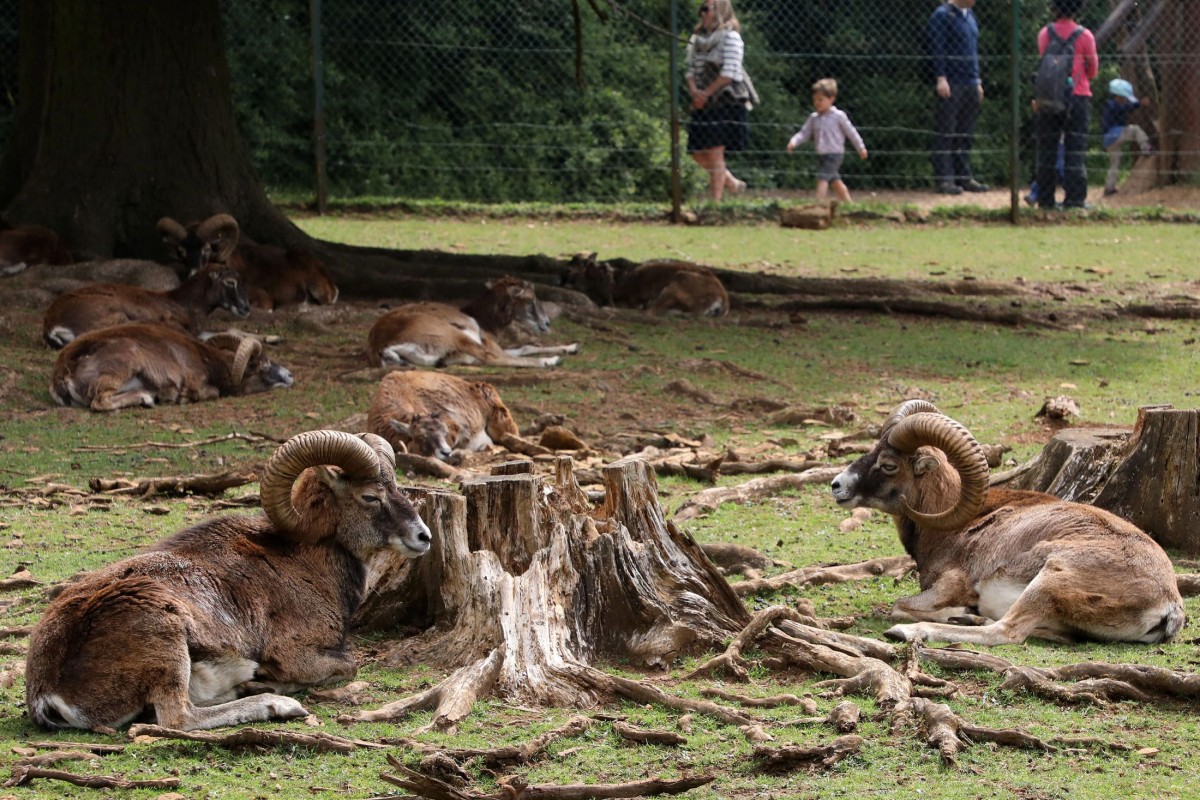 12.05.2018_Editpress_436236