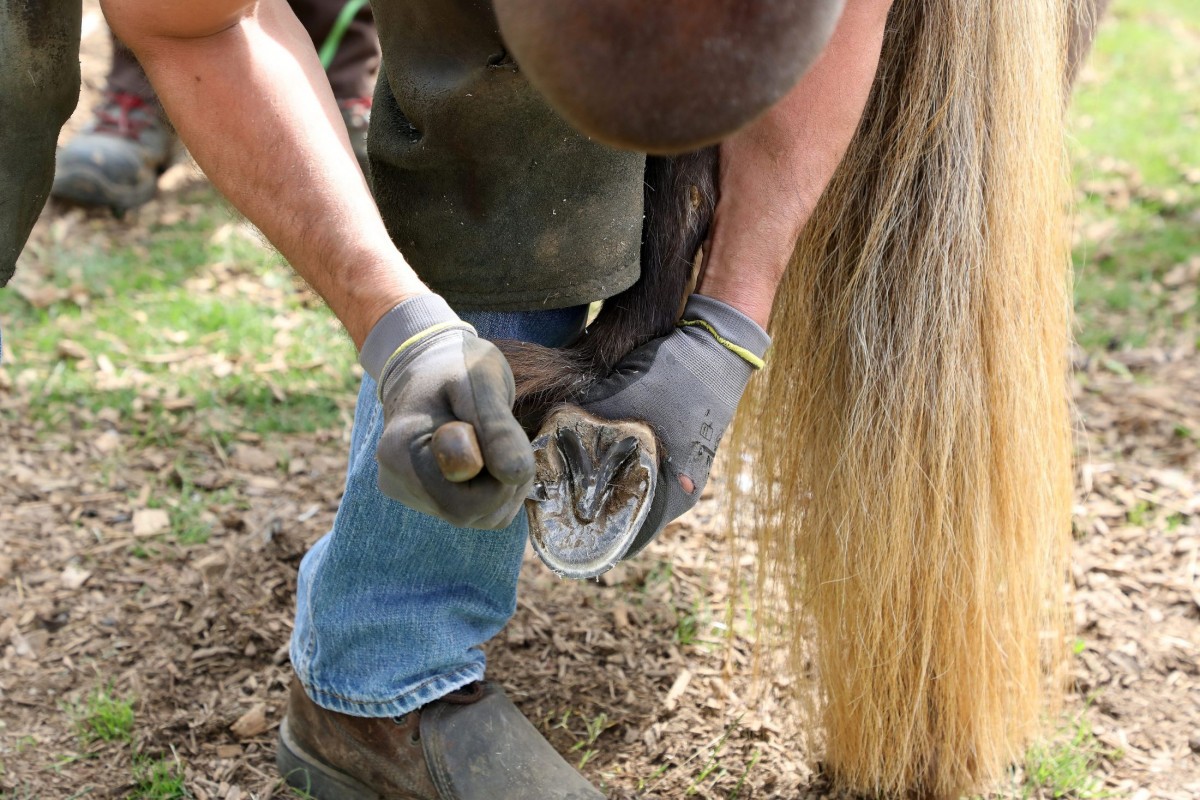 12.05.2018_Editpress_436237
