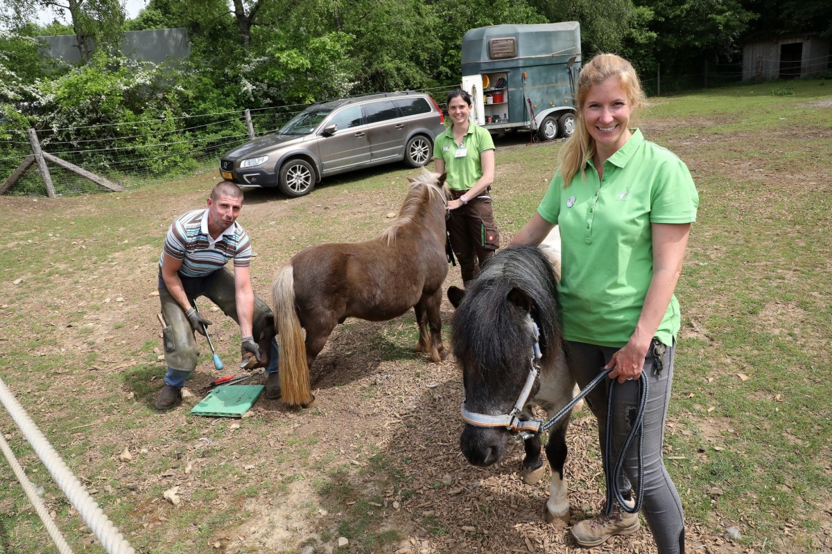 12.05.2018_Editpress_436240