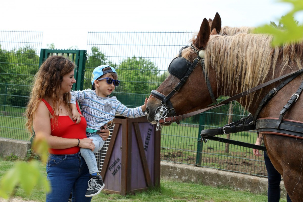 12.05.2018_Editpress_436241