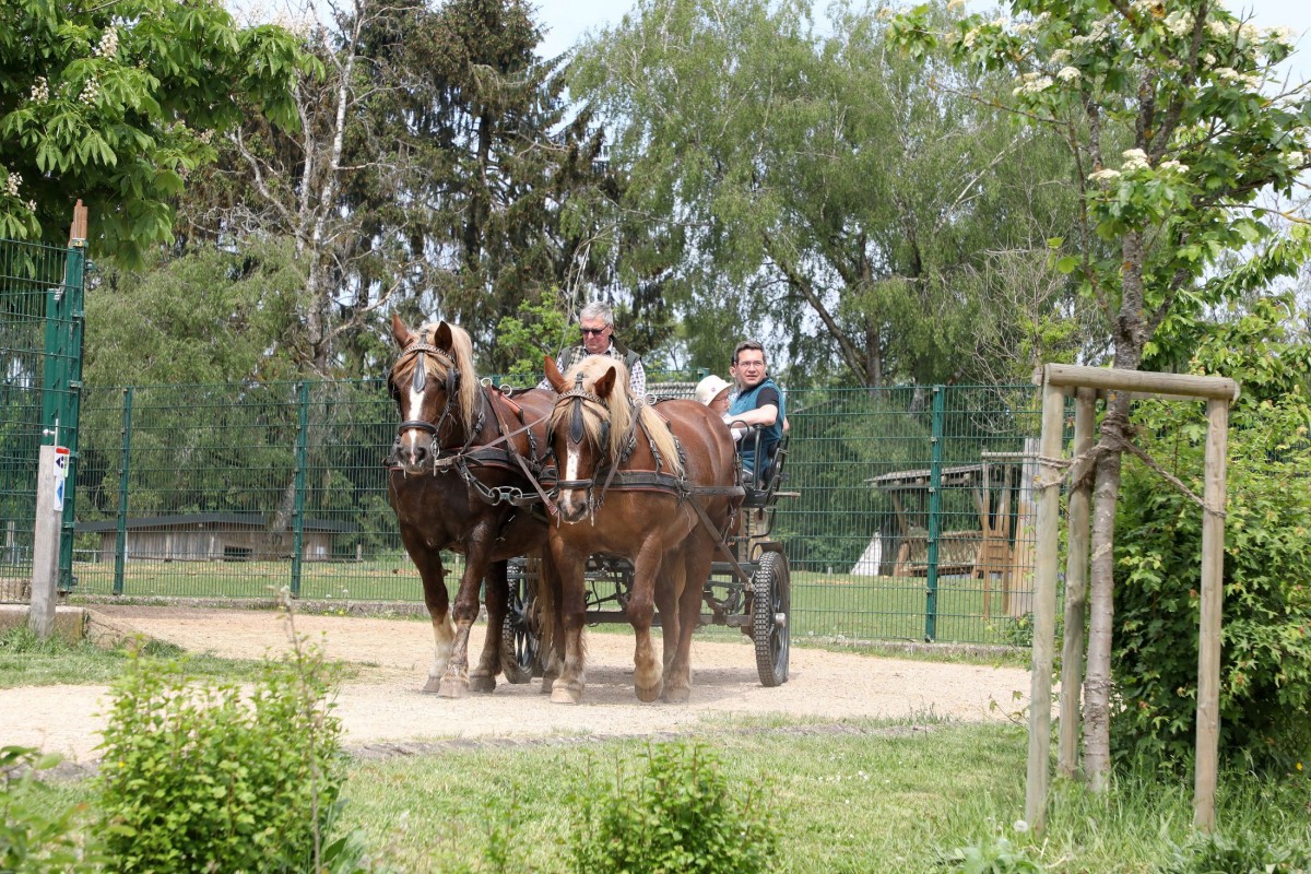 12.05.2018_Editpress_436243