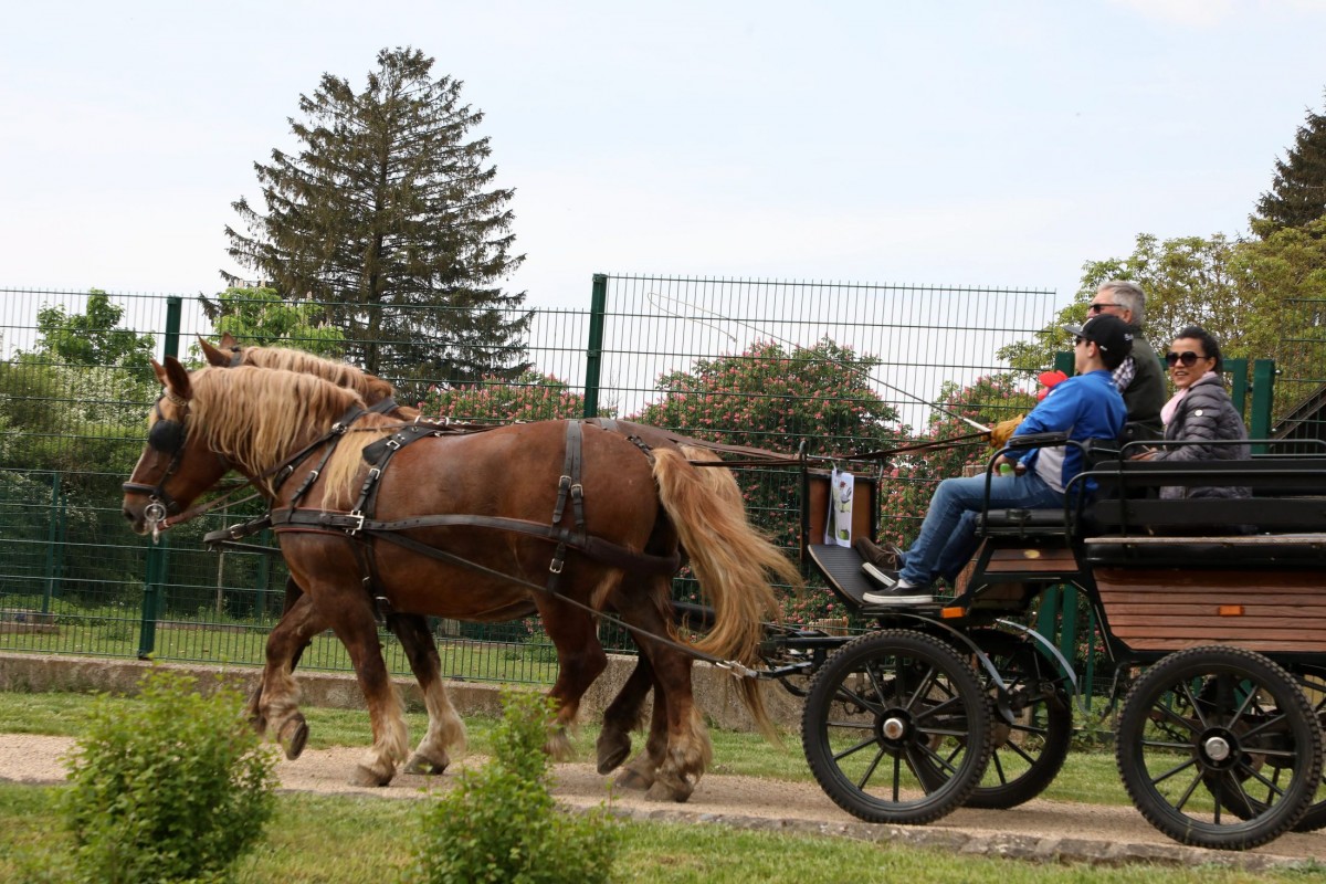 12.05.2018_Editpress_436244