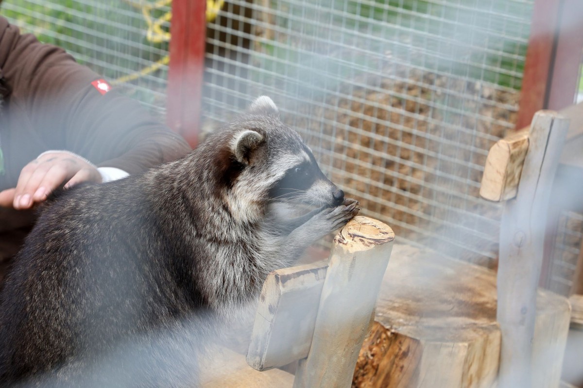 12.05.2018_Editpress_436246