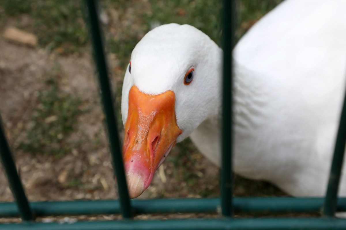 12.05.2018_Editpress_436247