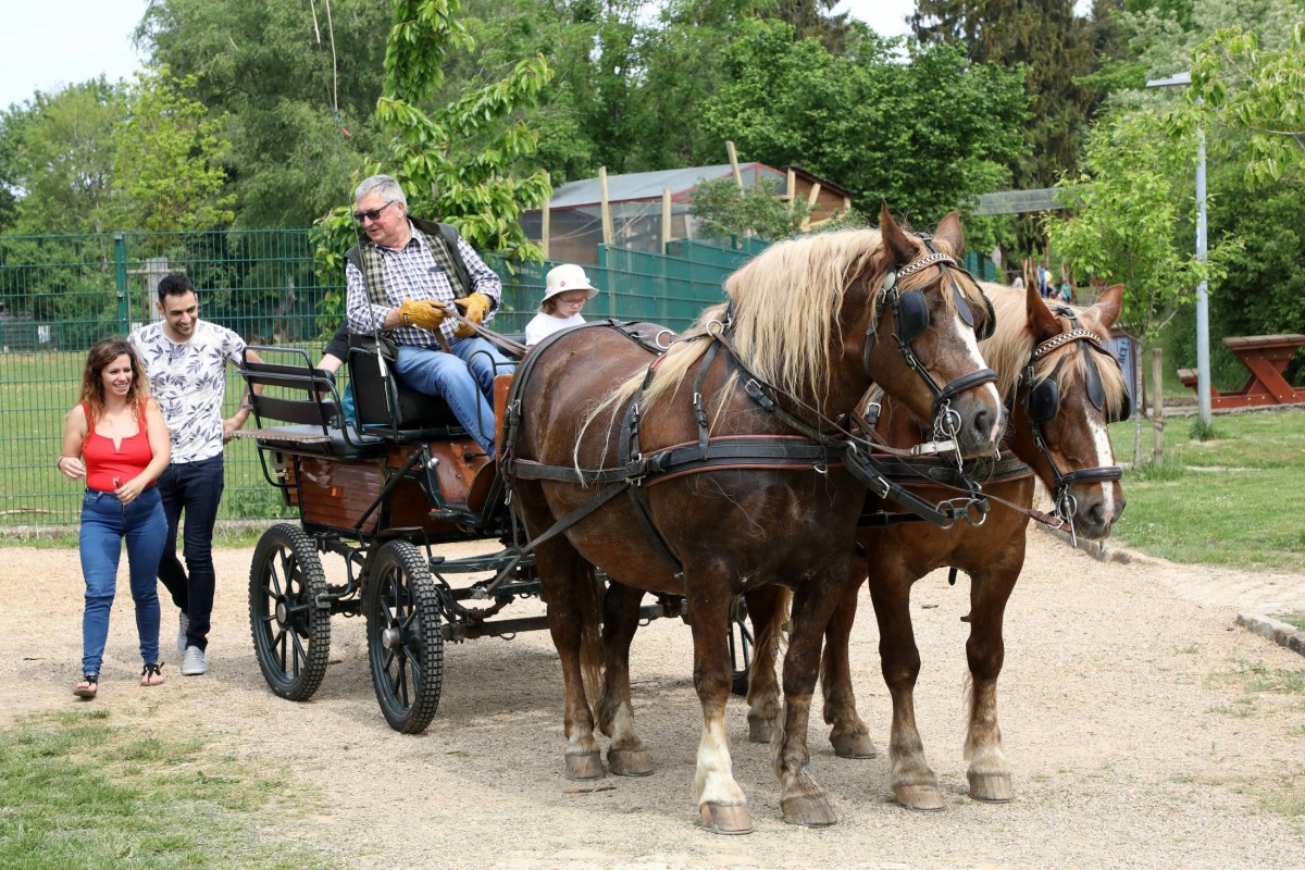 12.05.2018_Editpress_436248