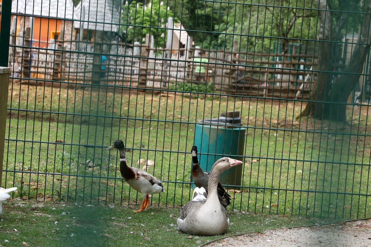 12.05.2018_Editpress_436250