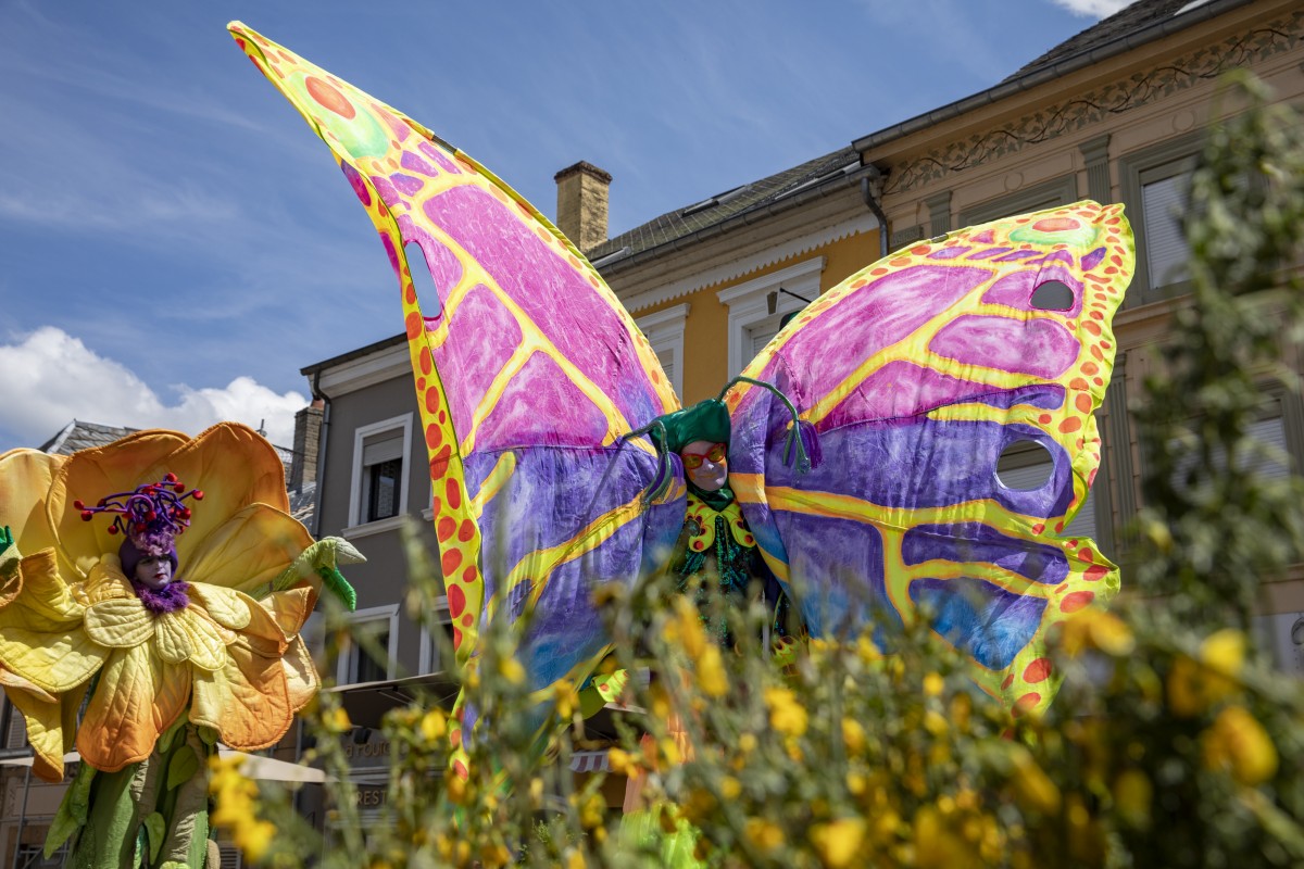 20180521_Geenzefest_0063