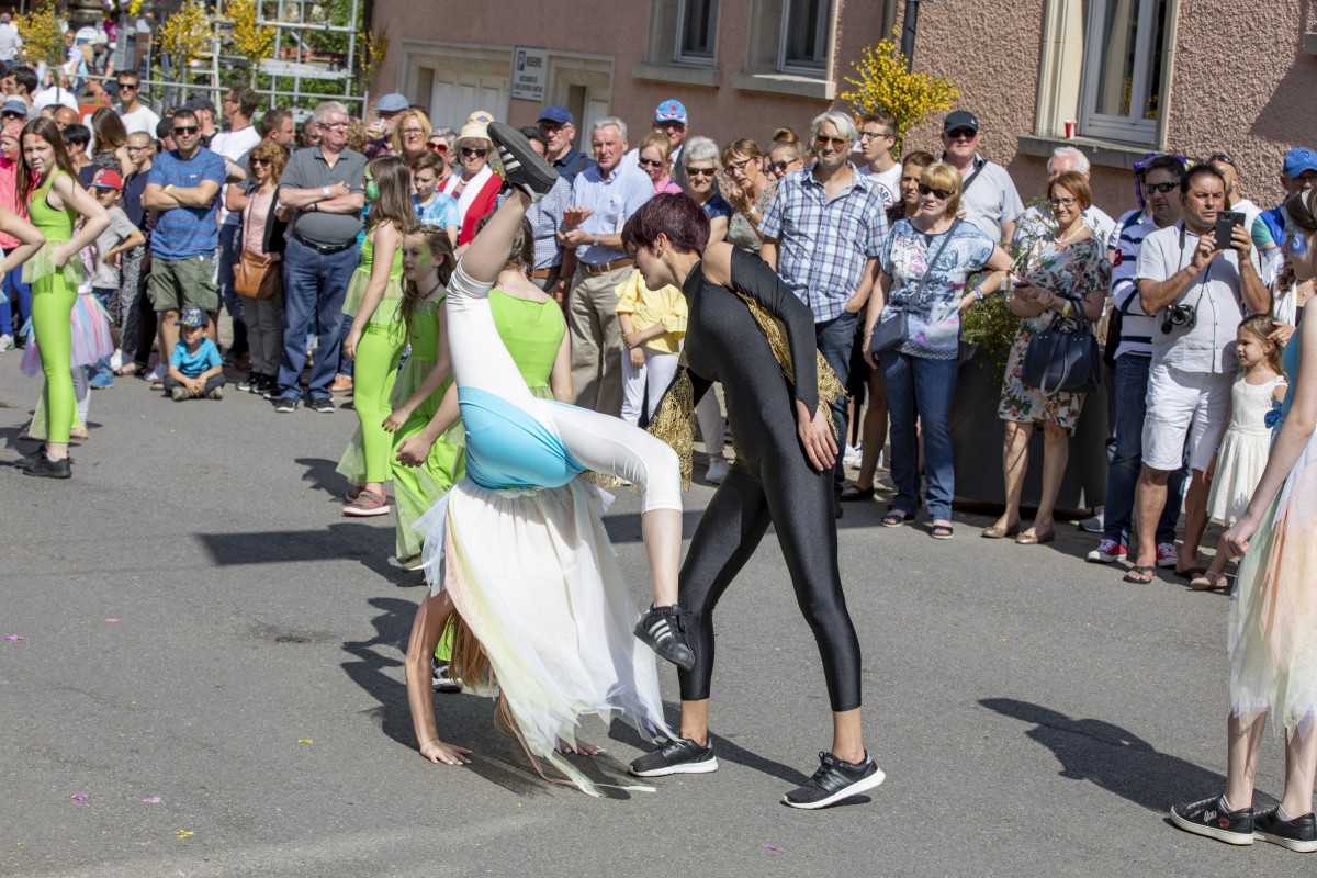 20180521_Geenzefest_0263