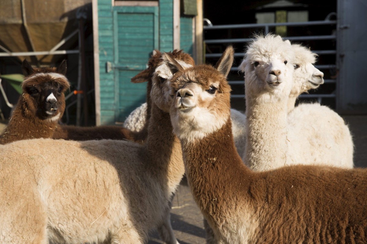 25.05.2018_Editpress_438635