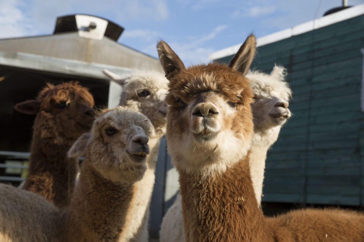 25.05.2018_Editpress_438638