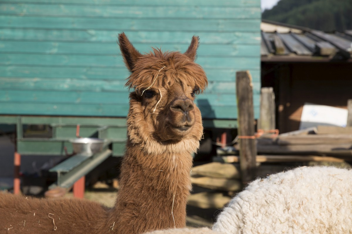 25.05.2018_Editpress_438643