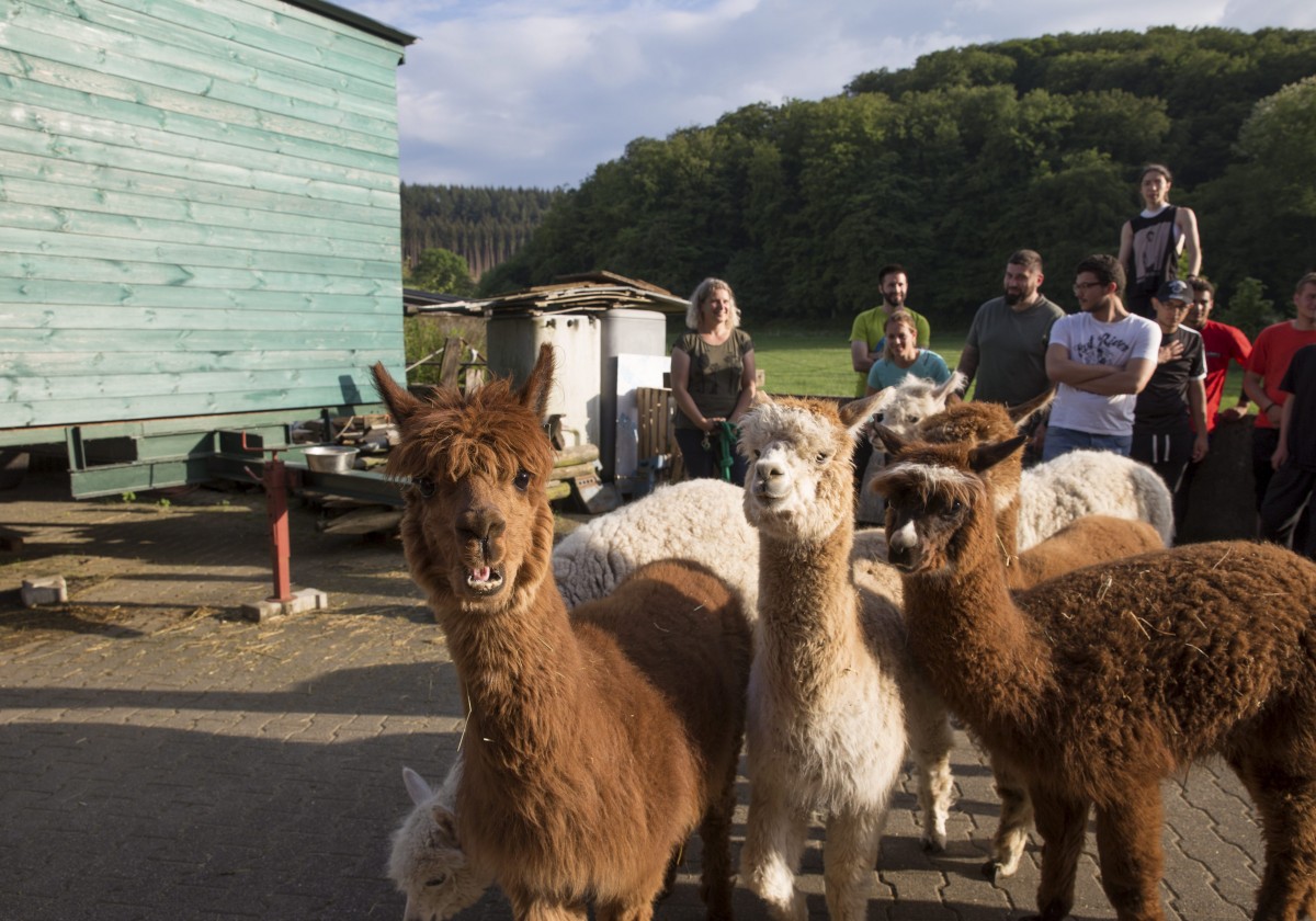 25.05.2018_Editpress_438646