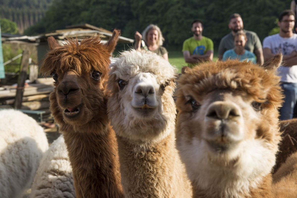 25.05.2018_Editpress_438648