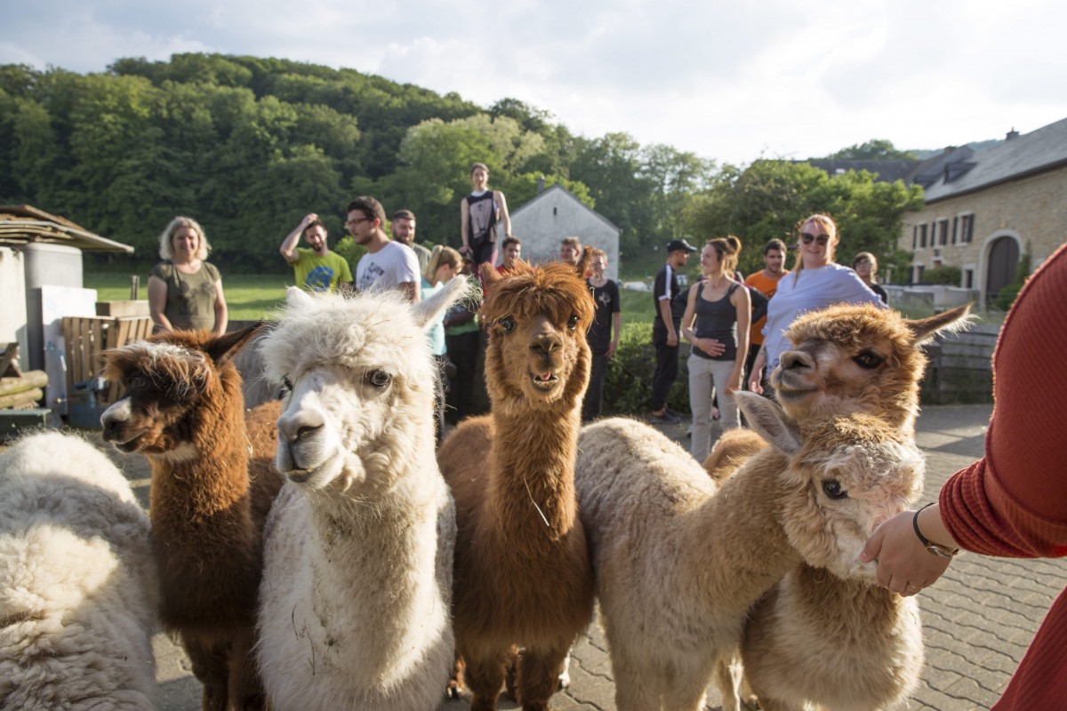 25.05.2018_Editpress_438649
