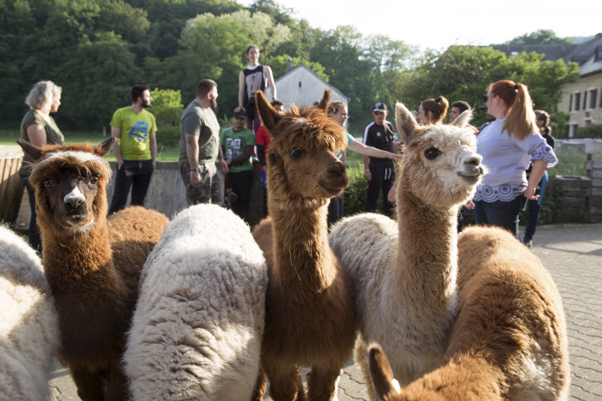 25.05.2018_Editpress_438650