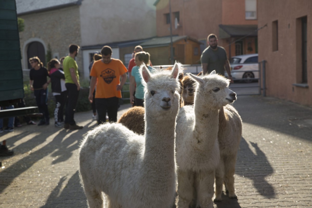 25.05.2018_Editpress_438652