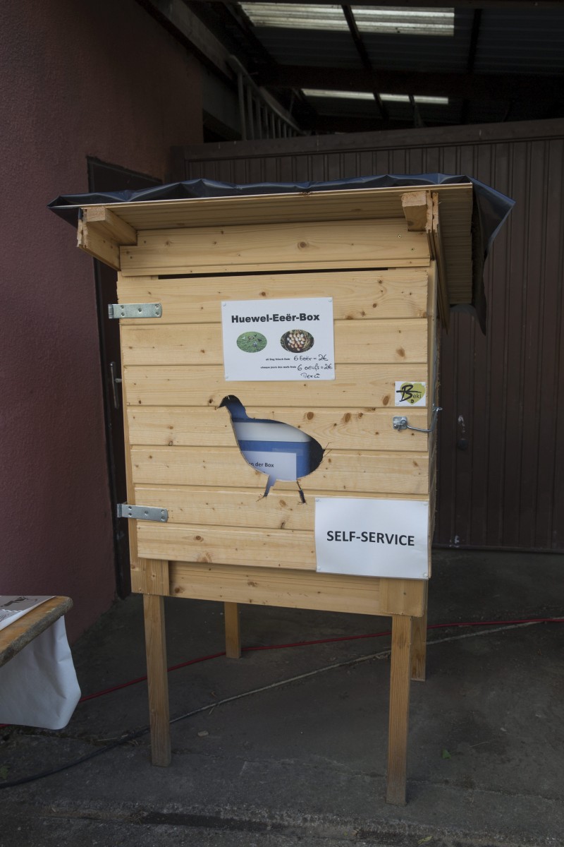 25.05.2018_Editpress_438654