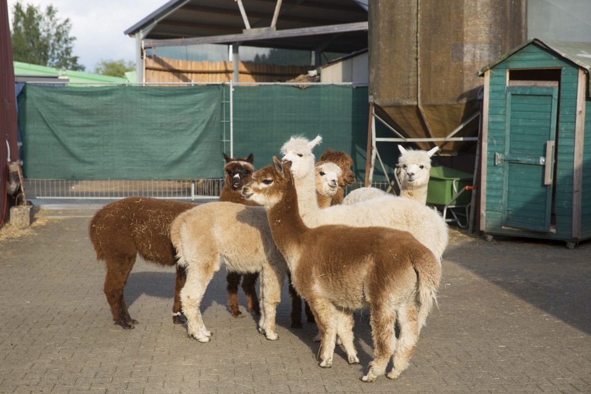 25.05.2018_Editpress_438656