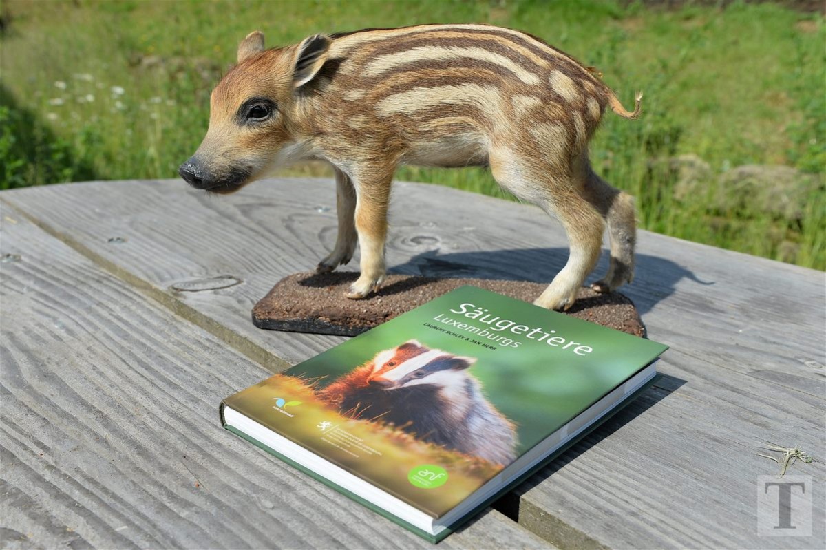 30.05.2018_Editpress_439316