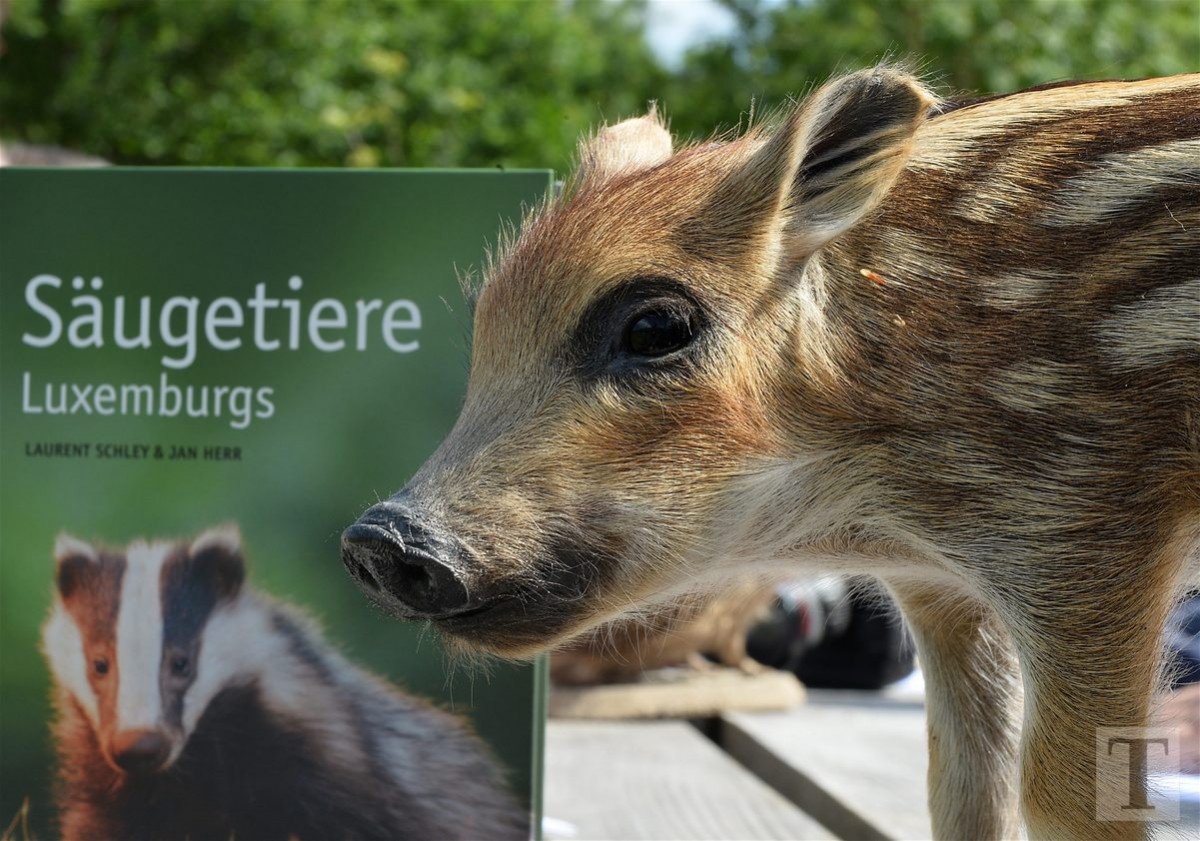 30.05.2018_Editpress_439320