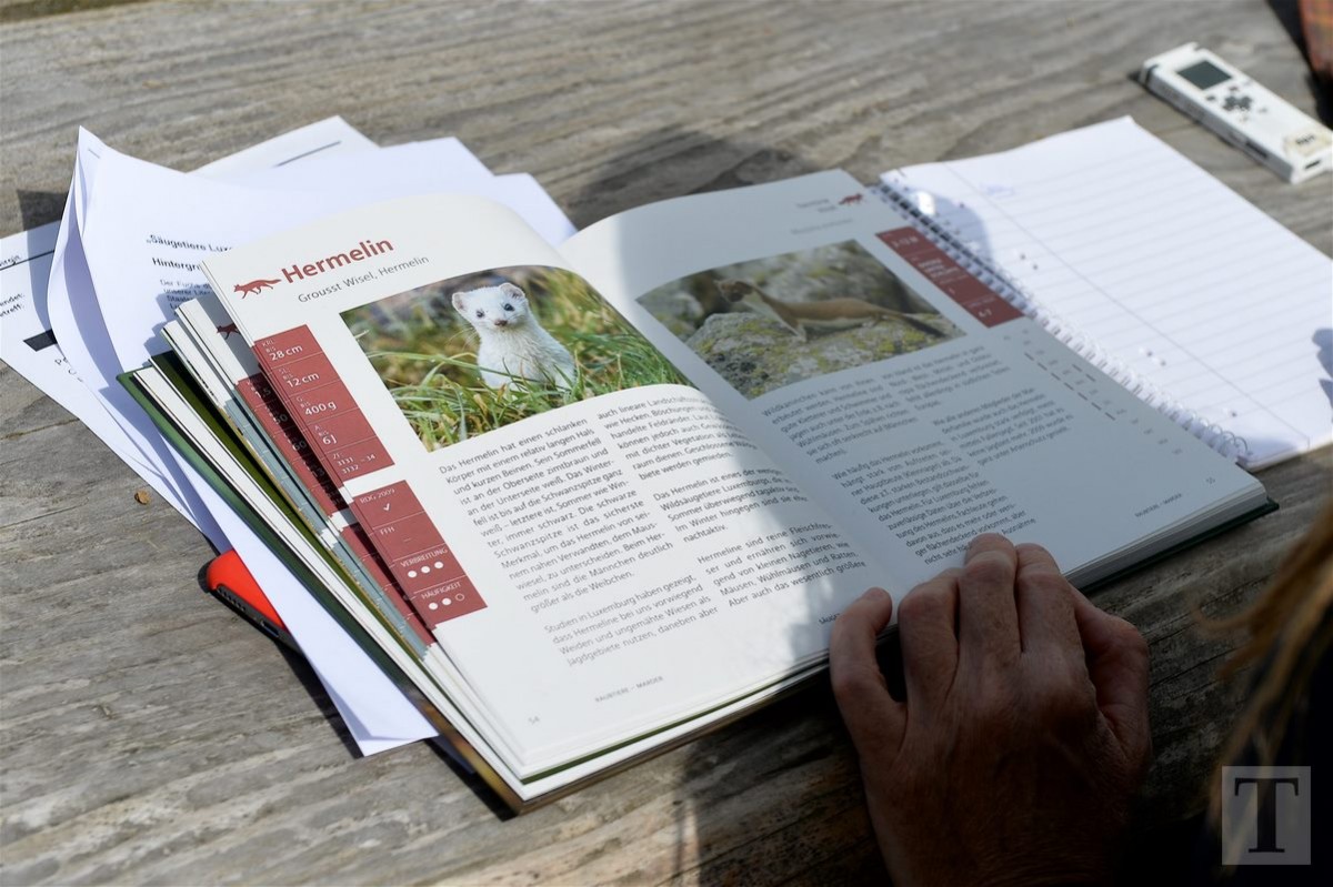 30.05.2018_Editpress_439331