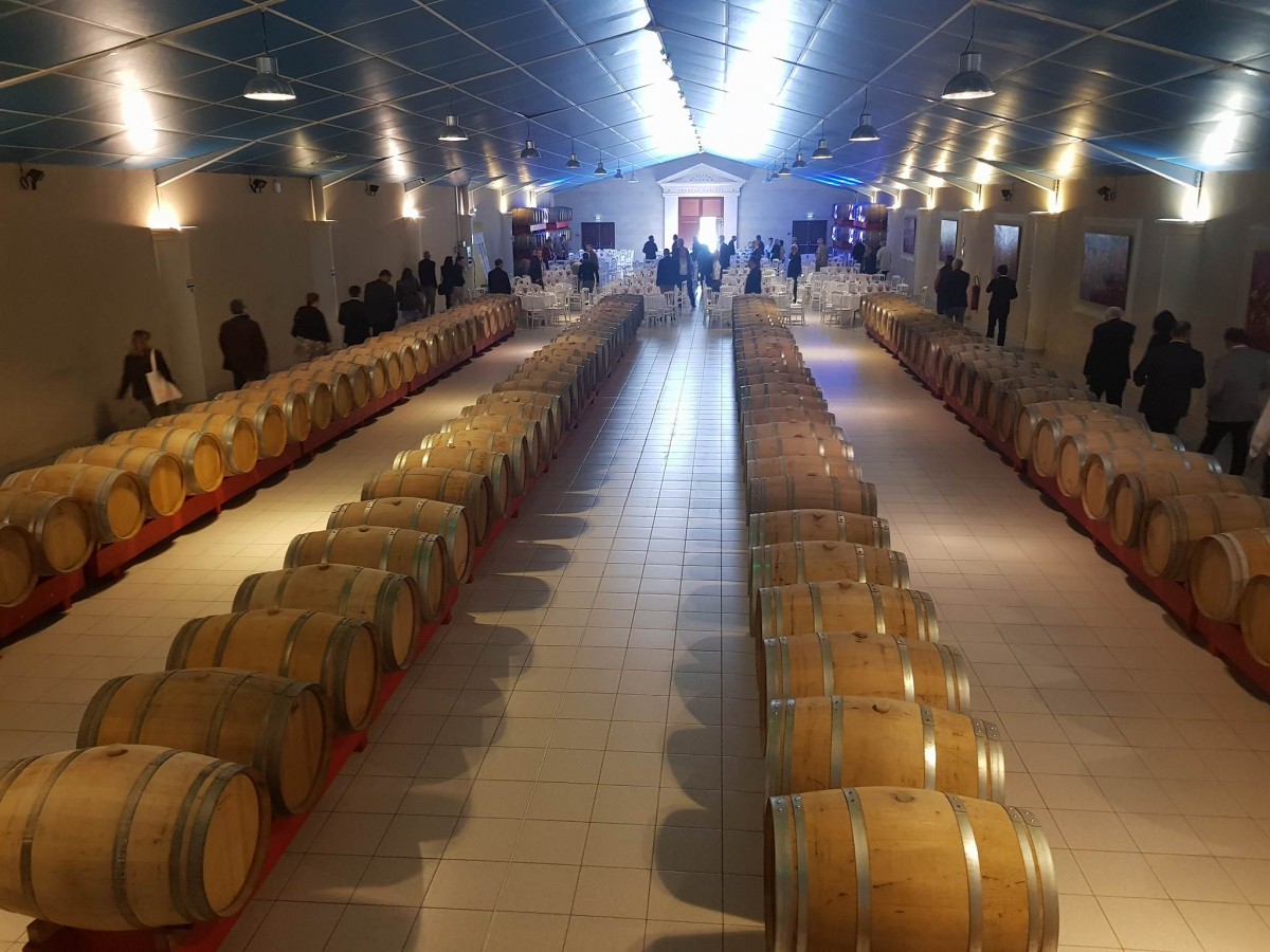 31880910_10155884230573935_399464677588860928_n