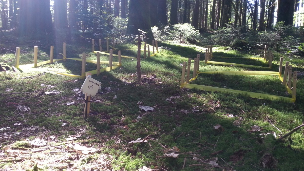 35_000_Teebeutel_fue_57479286