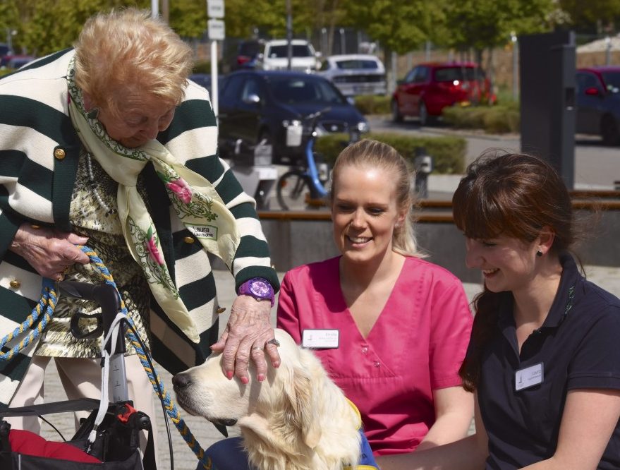 Therapiehund Mozart ist im Einsatz