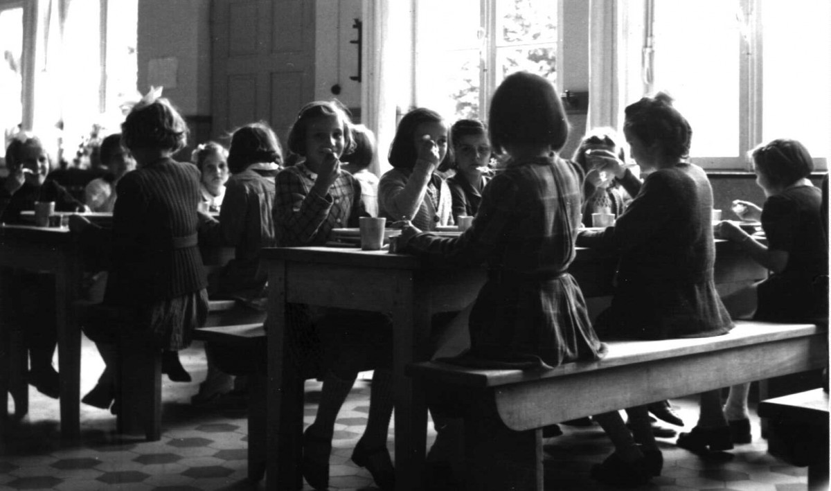 490_0008_14941877_1947_0013