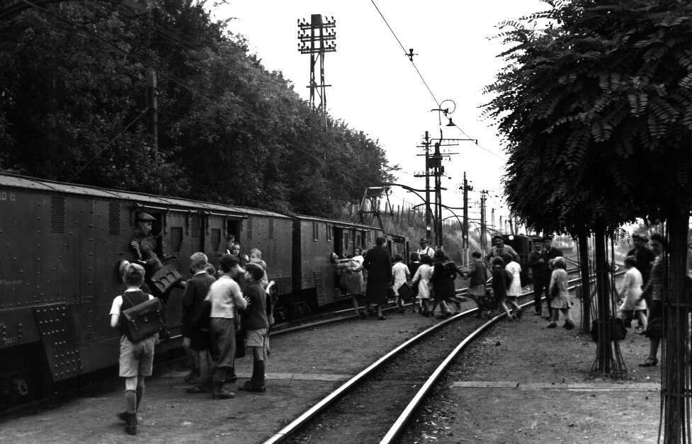 490_0008_14941883_1947_0037