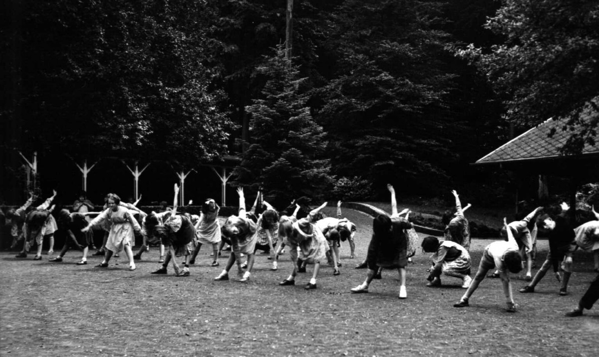 490_0008_14941890_1954_022