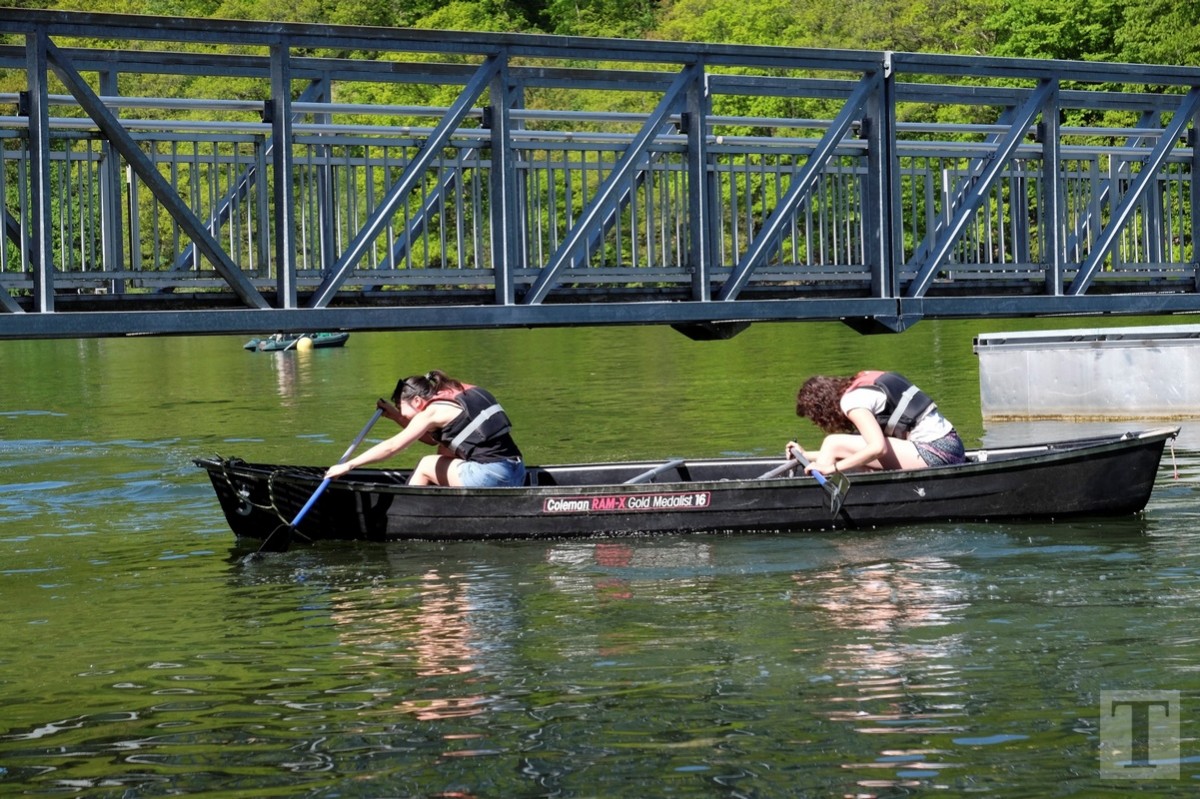 490_0008_14943190_Lultzhausen_7