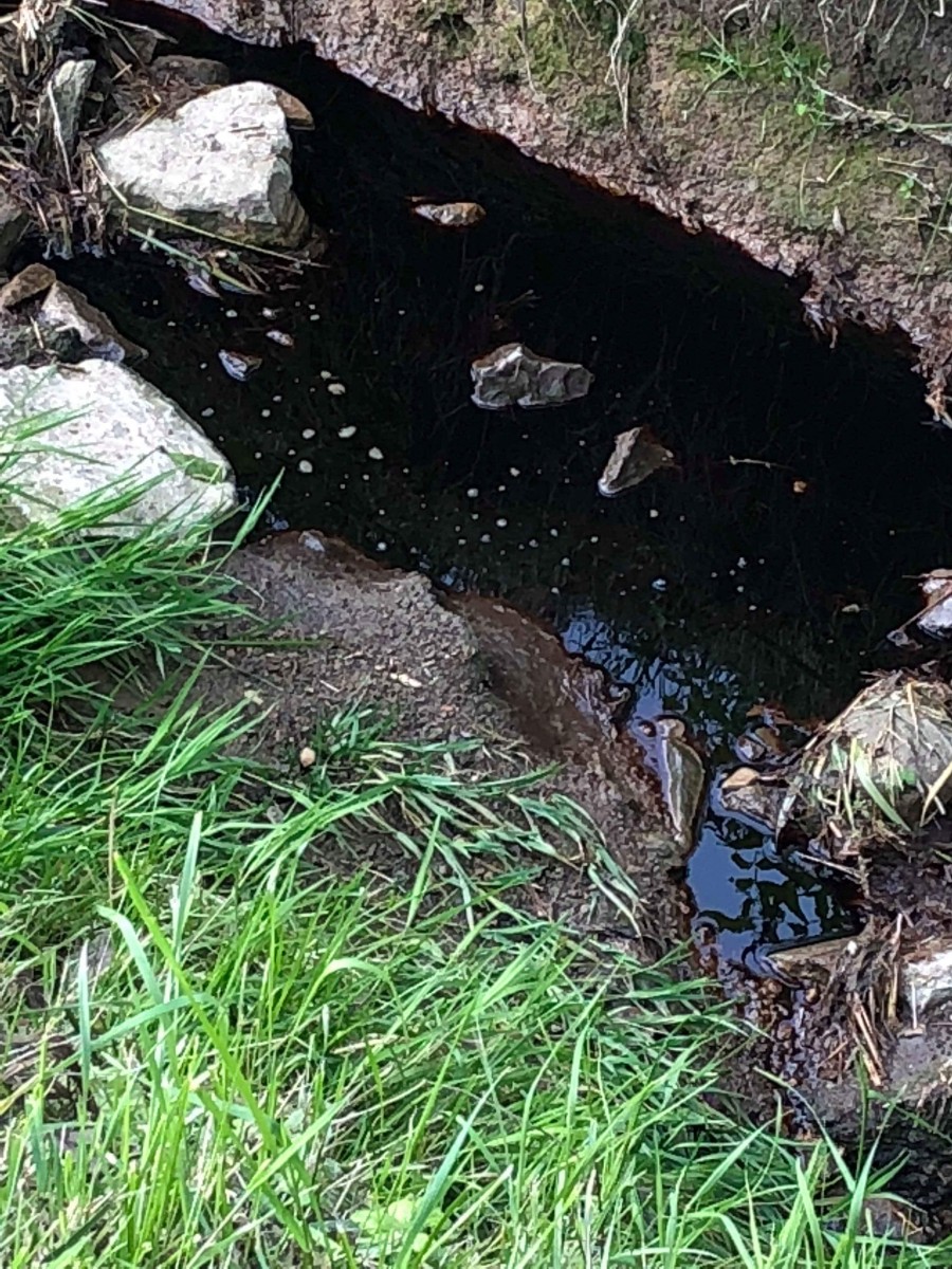 Foto: Police de Luxemburg