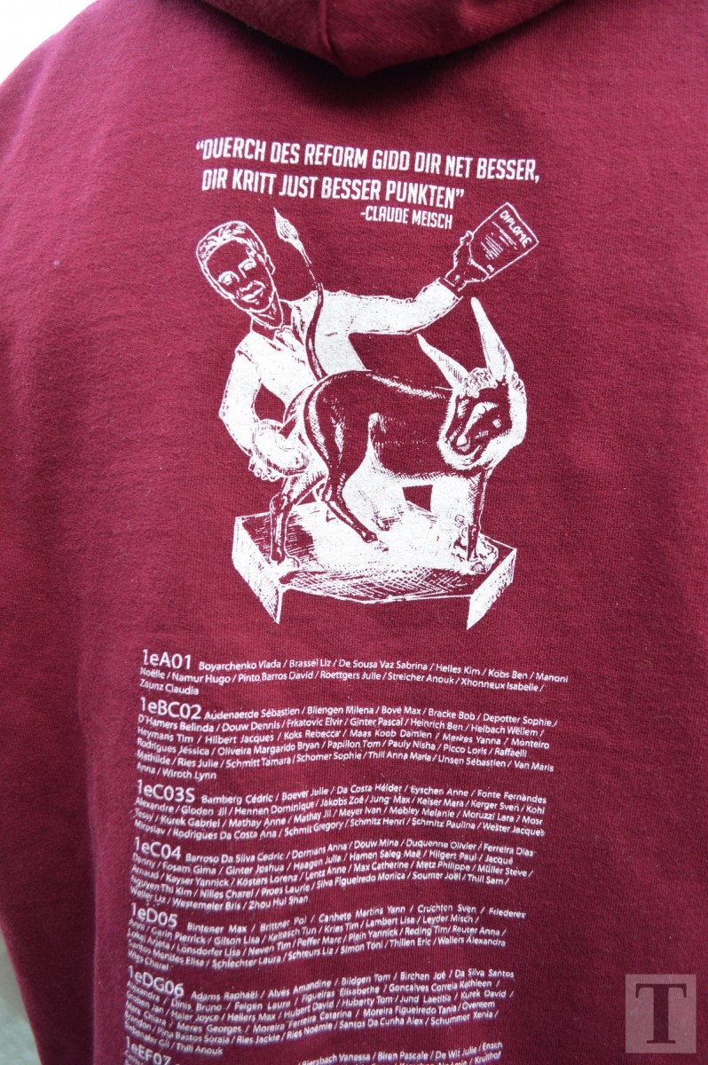 Lycee classique Diekirch (11)