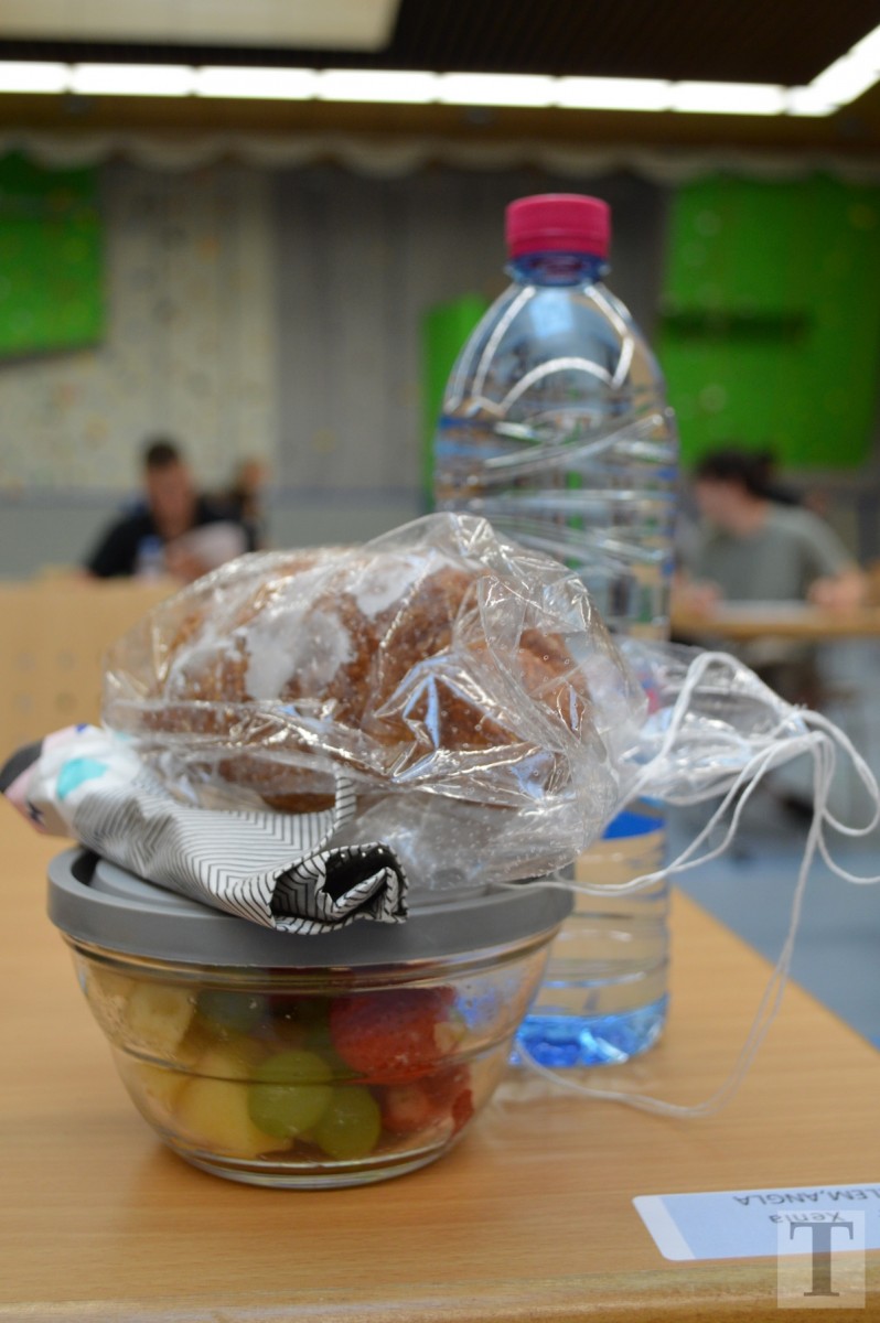 Lycee classique Diekirch (2)