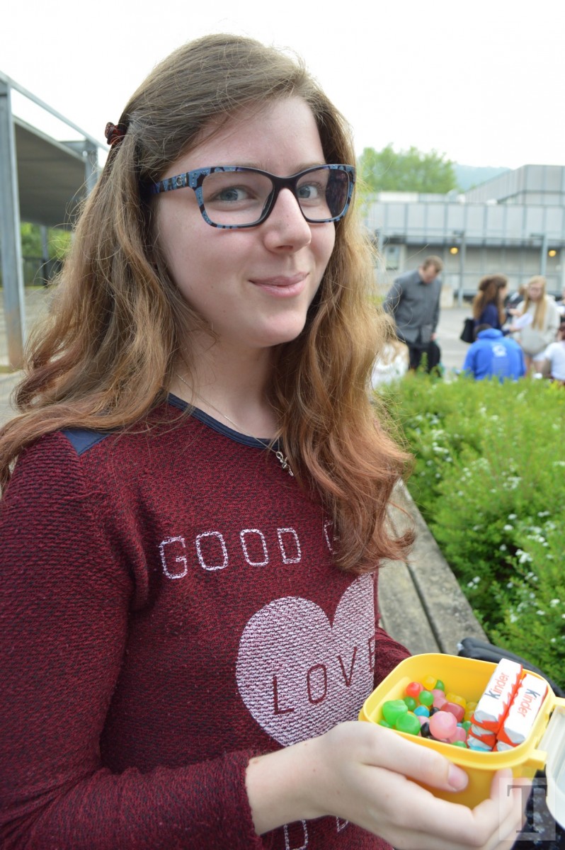 Lycee classique Diekirch (8)